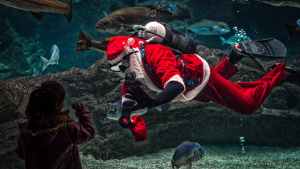 man in santa claus costume with diving gear inside aquarium